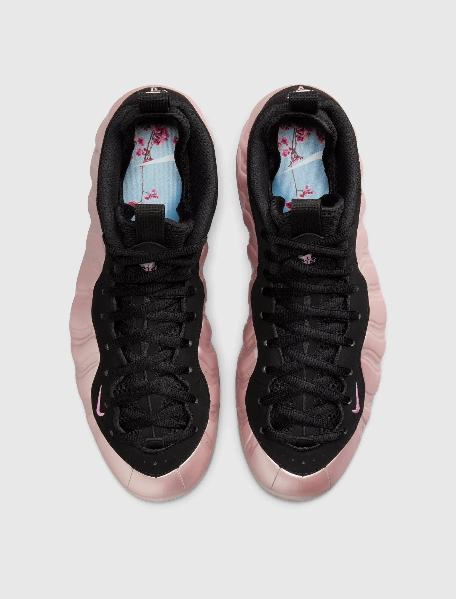 AIR FOAMPOSITE ONE "DMV"