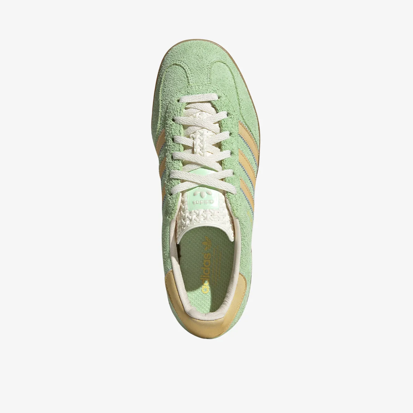 Gazelle Indoor